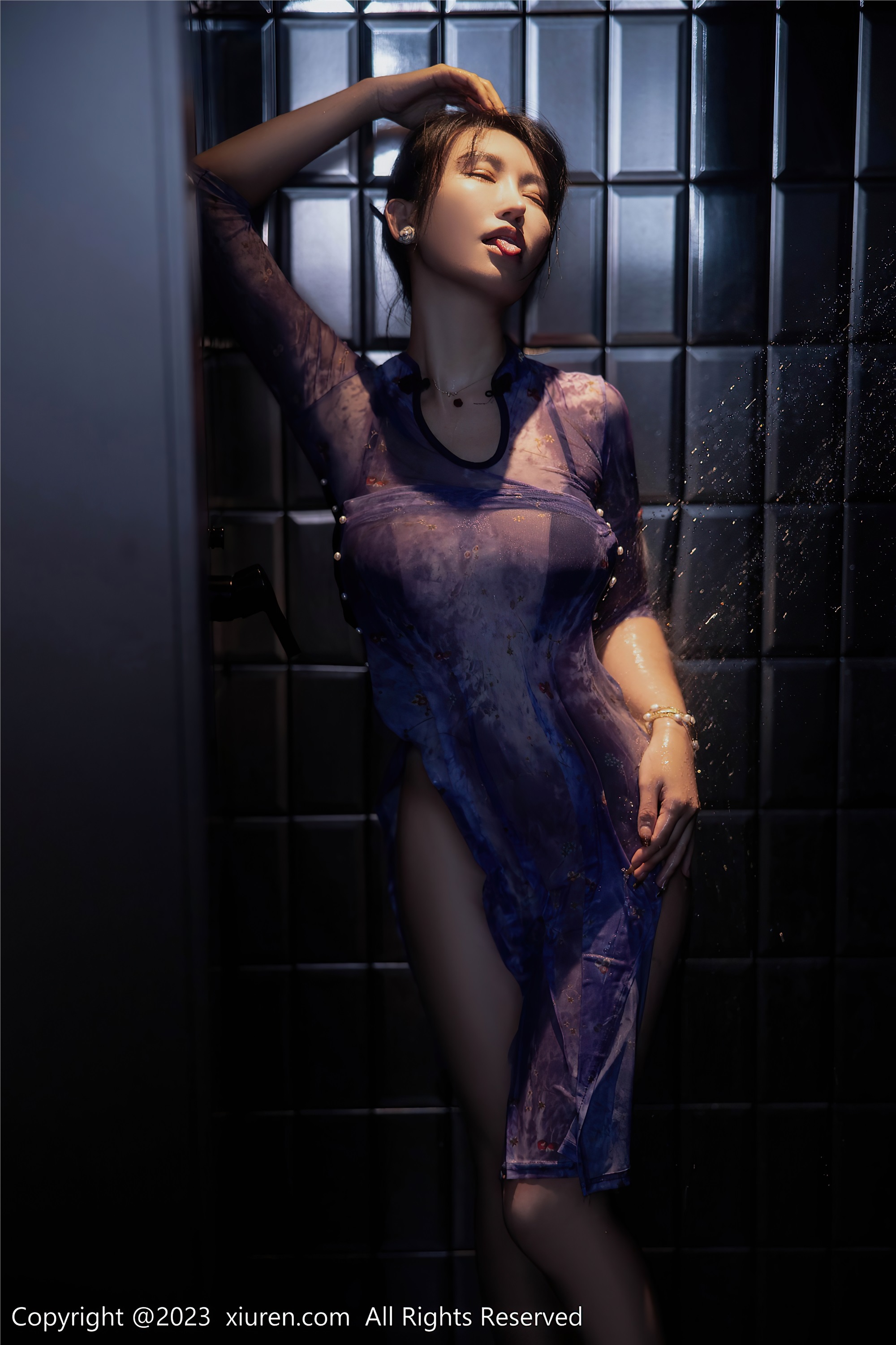 XiuRen秀人网  2023.06.08 NO.6876 司柠